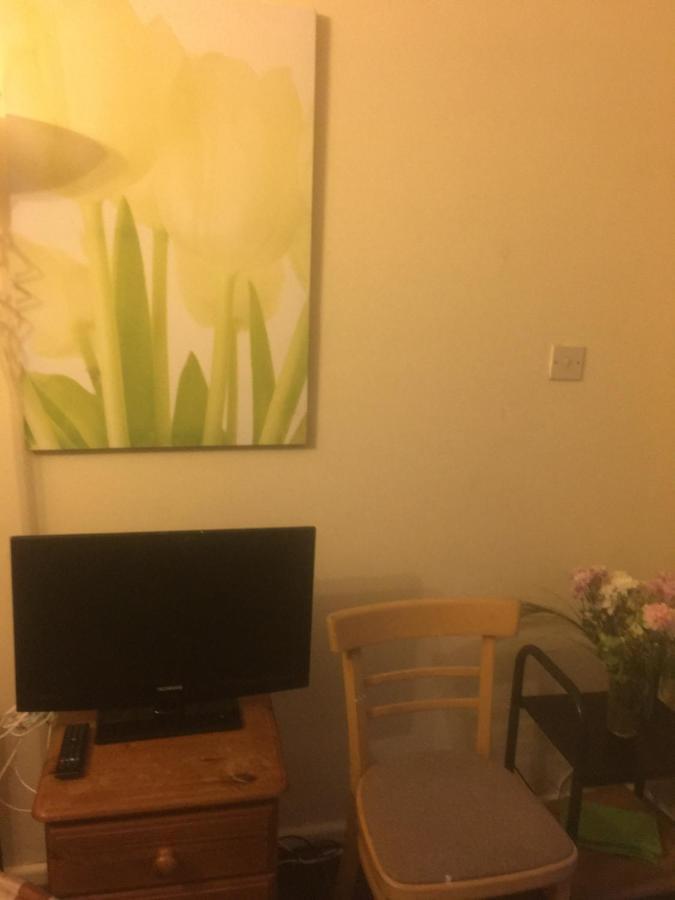 Woodland Views Central Heated Cabin Dartmouth Esterno foto